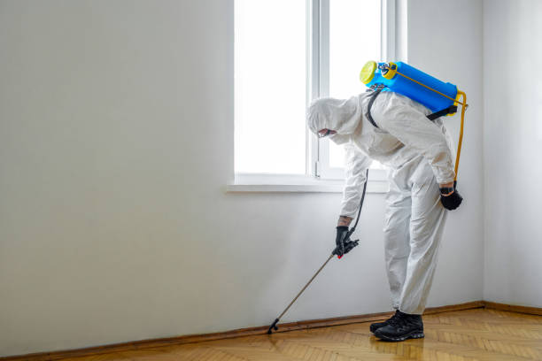 Best Commercial Pest Control Services  in Aspen, CO