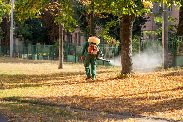 Aspen, CO Pest Control Company
